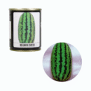 SEMENTE MELANCIA FAIRFAX 100 GR LATA FELTRIN