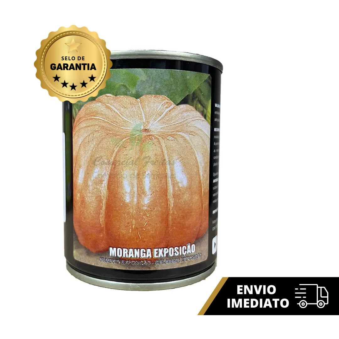 SEMENTE ABOBORA MORANGA EXPOSICAO LATA 100 GR FENTRIN - Imagem 2