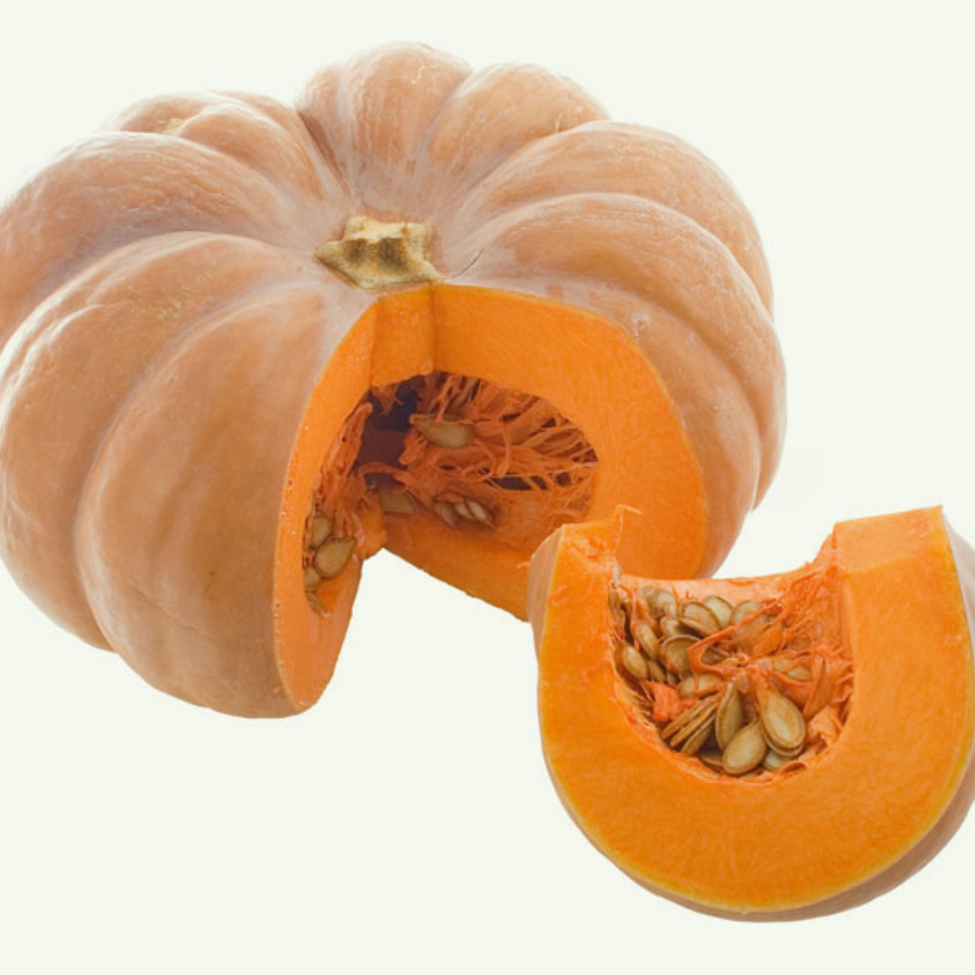 SEMENTE ABOBORA MORANGA EXPOSICAO LATA 100 GR FENTRIN