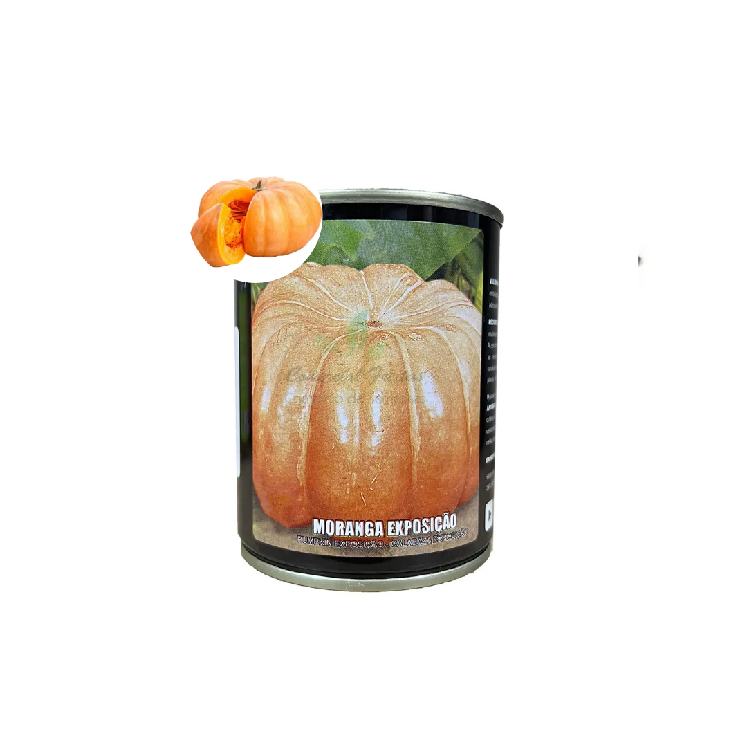 SEMENTE ABOBORA MORANGA EXPOSICAO LATA 100 GR FENTRIN - Imagem 5