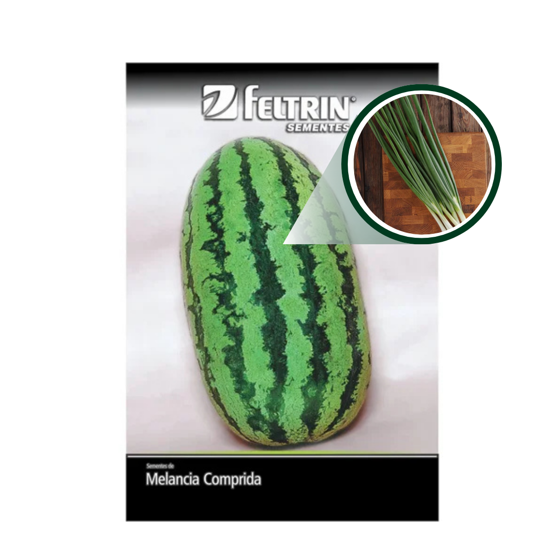 SEMENTE MELANCIA FAIRFAX 50G FELTRIN - Imagem 2