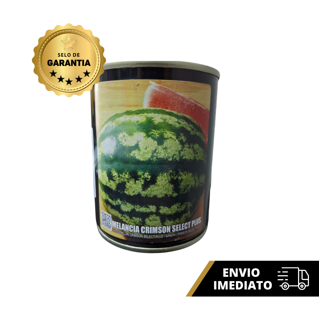 SEMENTE MELANCIA CRIMSON SELECT 50G FELTRIN - Imagem 2