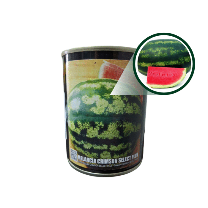 SEMENTE MELANCIA CRIMSON SELECT 50G FELTRIN - Imagem 5