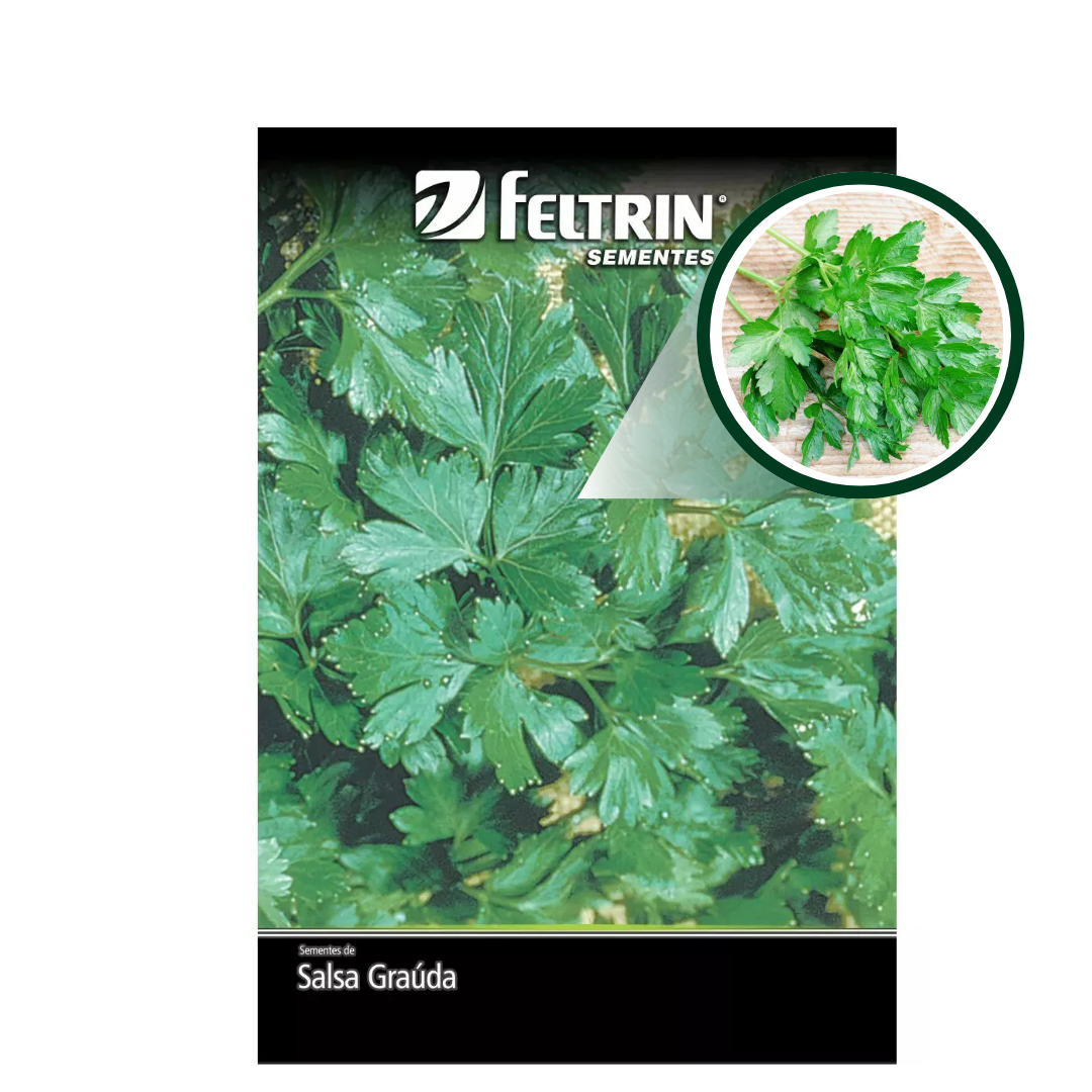SEMENTE SALSA GRAUDA PORTUGUESA 50G FELTRIN - Imagem 2