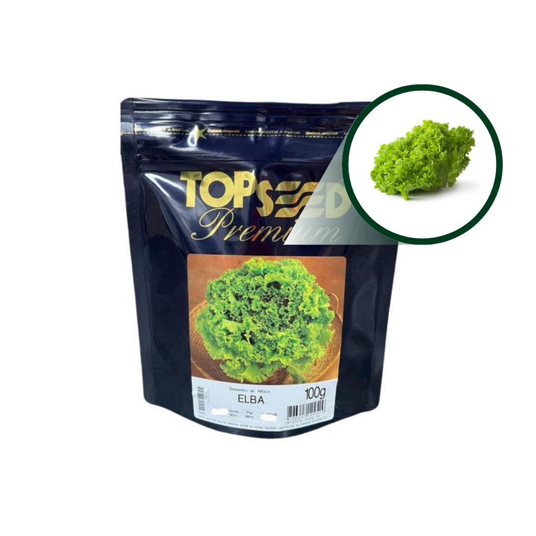 ALFACE CRESPA ELBA NUA - 100G TOPSEED