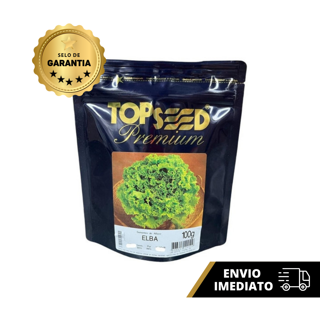 ALFACE CRESPA ELBA NUA - 100G TOPSEED - Imagem 2