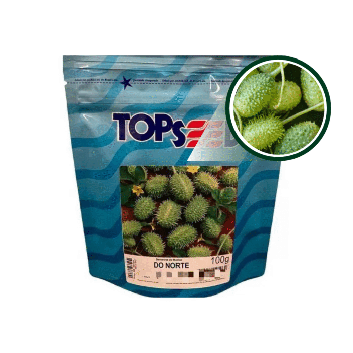 MAXIXE DO NORTE 100 GR TOPSEED - Imagem 3