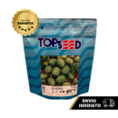 MAXIXE DO NORTE 100 GR TOPSEED