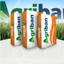 SEMENTE ARUANA COVECIONAL 25 KG AGRIBAN
