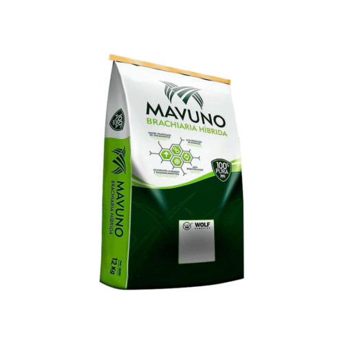 SEMENTE DE UROCHLOA BRIZANTHA X UROCHLOA RUZIZIENSIS CV MIXE DRWN 12 (MAVUNO SUPREME)