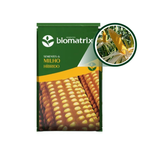 SEMENTE DE MILHO BIOMATRIX BM 163 PRO4