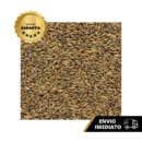 SEMENTE MOMBACA COVECIONAL 20 KG PASTO BRAZIL