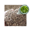 SEMENTE MOMBACA COVECIONAL 20 KG PASTO BRAZIL