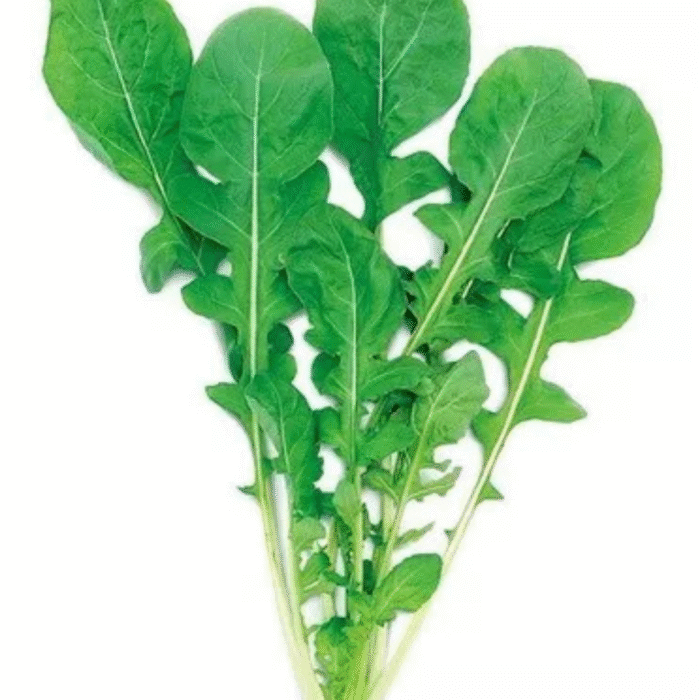SEMENTE RUCULA APRECIATTA F. LARGA 50G FELTRIN - Imagem 5