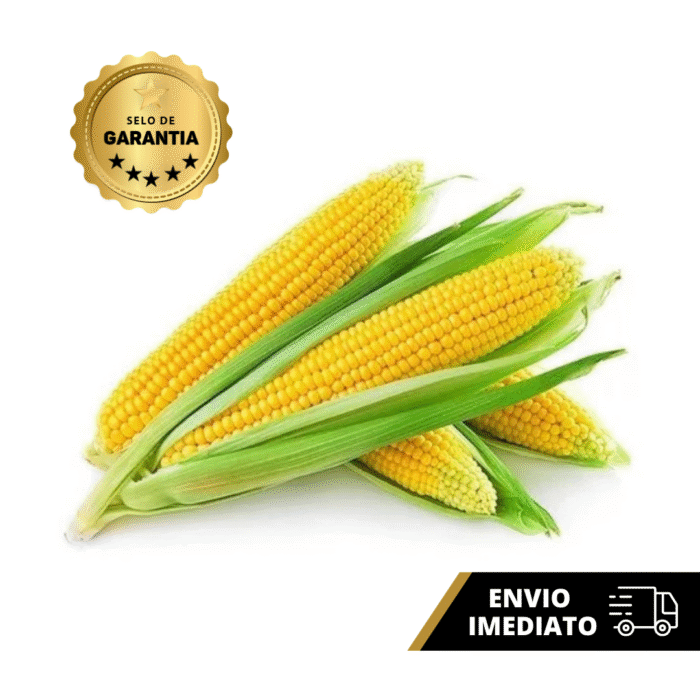 SEMENTE DE MILHO ZEA MAYS KG - Imagem 2